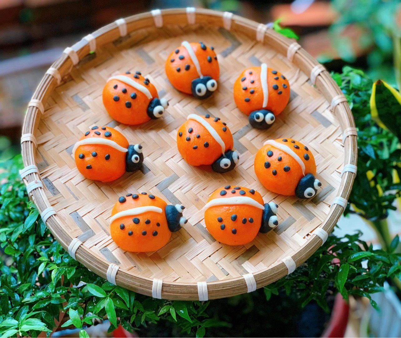 Tet Trung thu trong dich anh 5