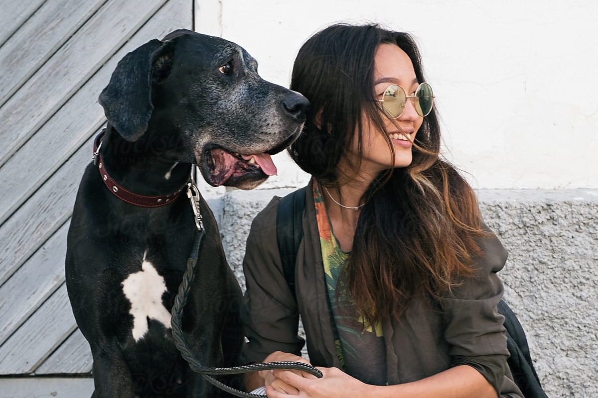 Trao luu dua thu cung di du lich o Trung Quoc hinh anh