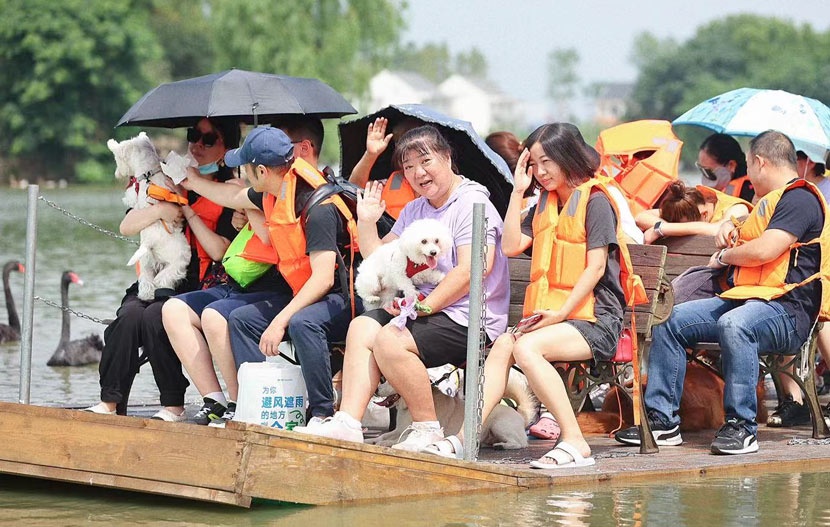 du lịch cùng chó cưng ảnh 1 du lich cung cho cung anh 1