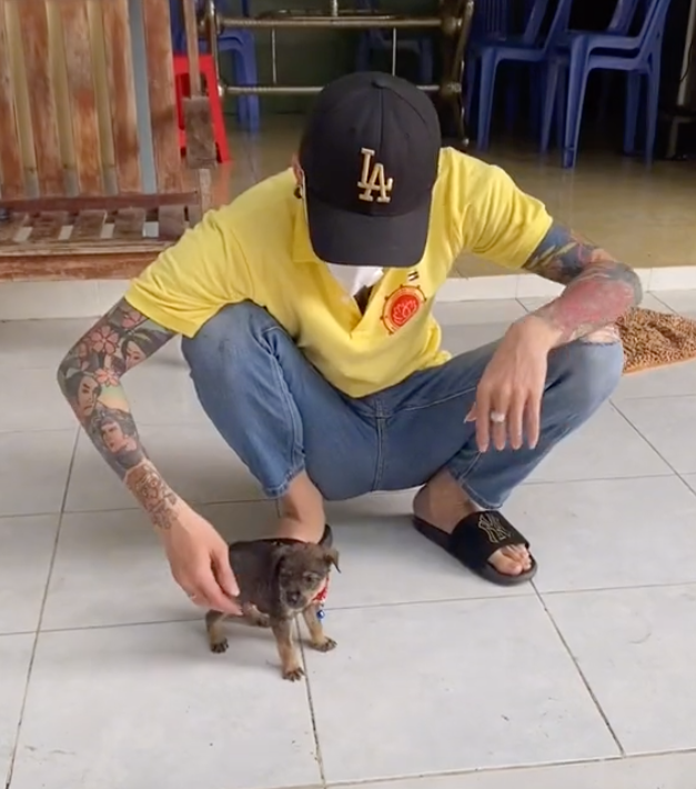 tieu huy 15 con cho o Ca Mau anh 1