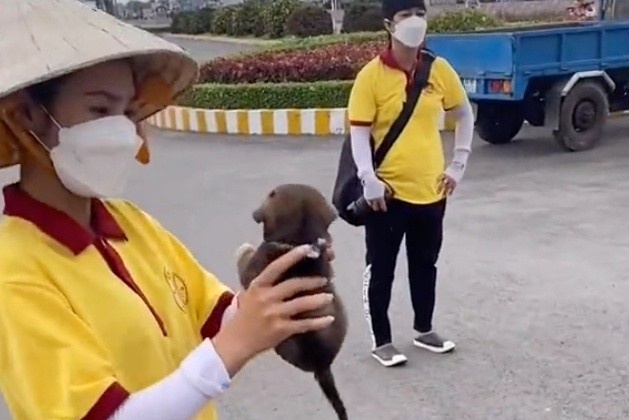 Con con song sot trong dan cho bi tieu huy o Ca Mau hinh anh