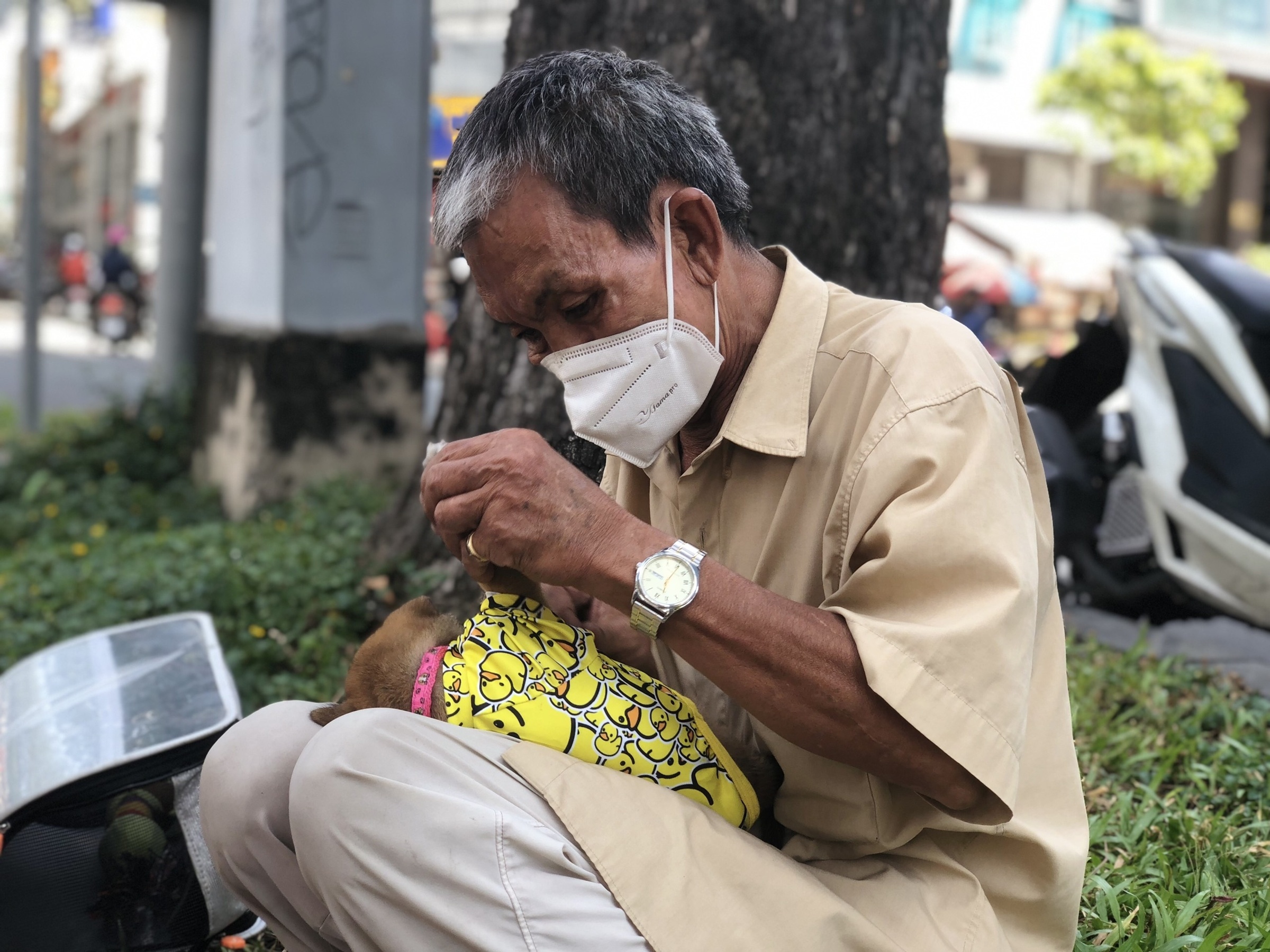 cụ ông bán vé số cùng chó cưng ảnh 4 cu ong ban ve so cung cho cung anh 4