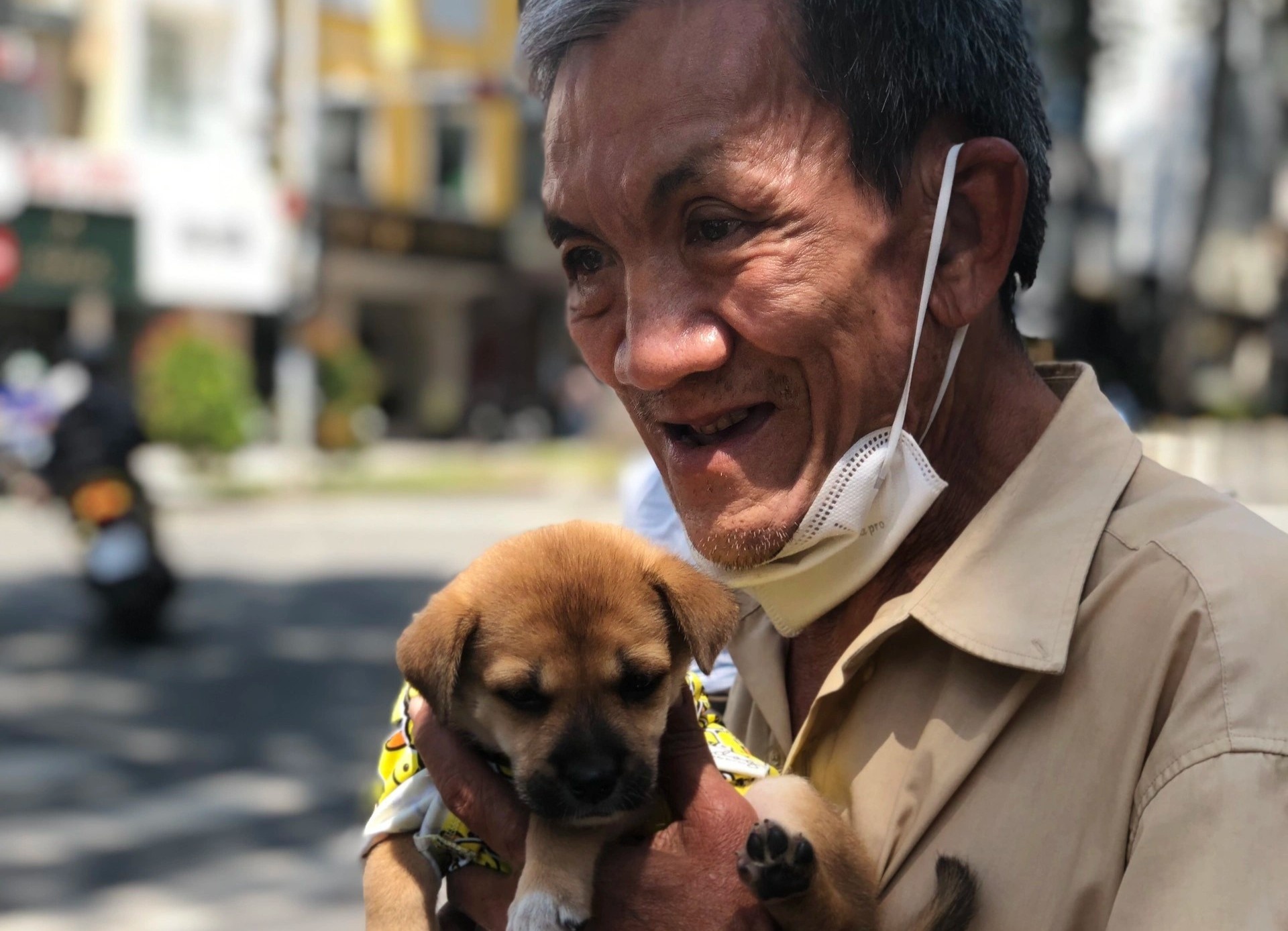 Cu ong ban ve so o TP.HCM duoc tang chu cho moi hinh anh