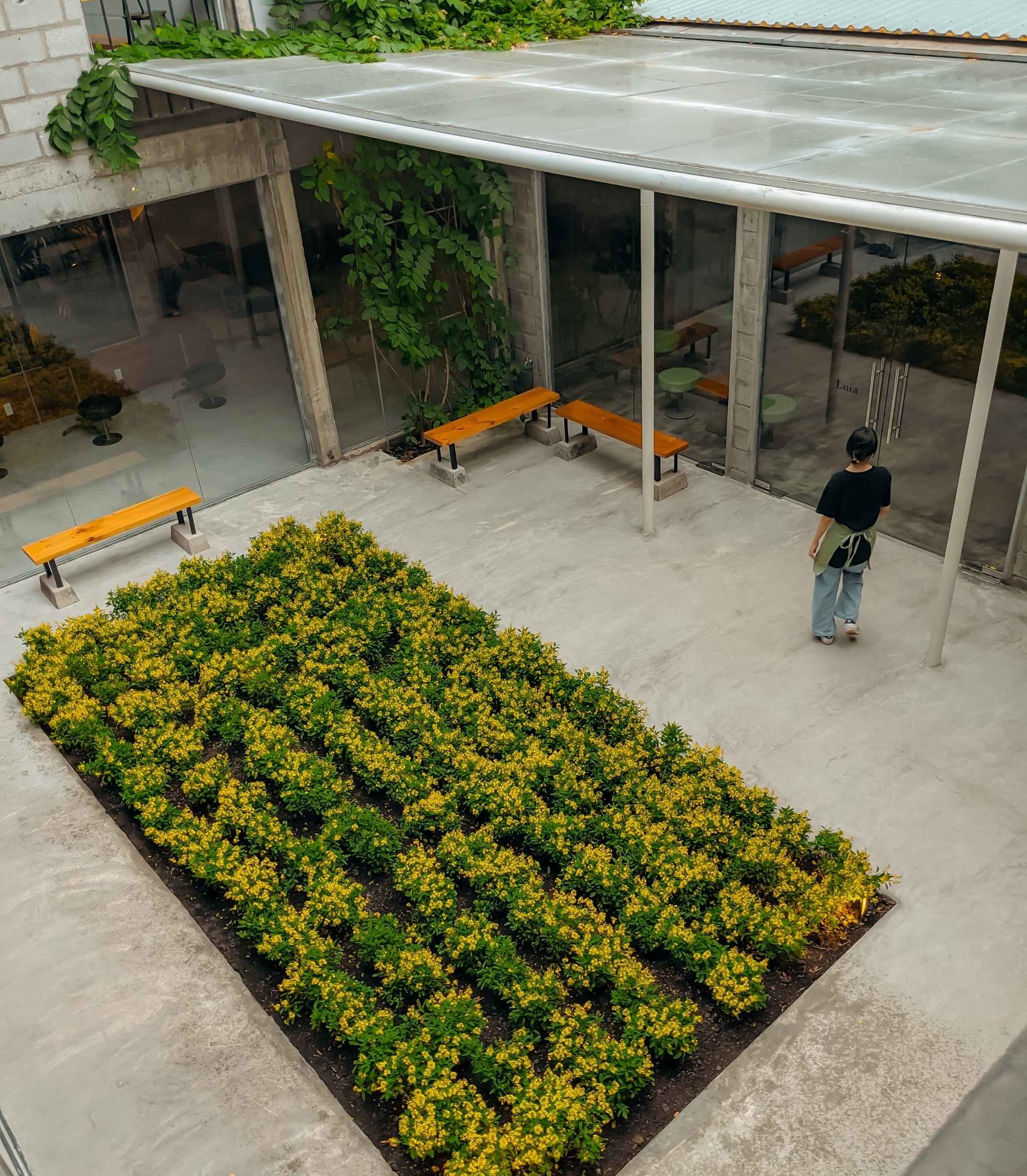 quản lý nhà hàng ảnh 3 quan ly nha hang anh 3