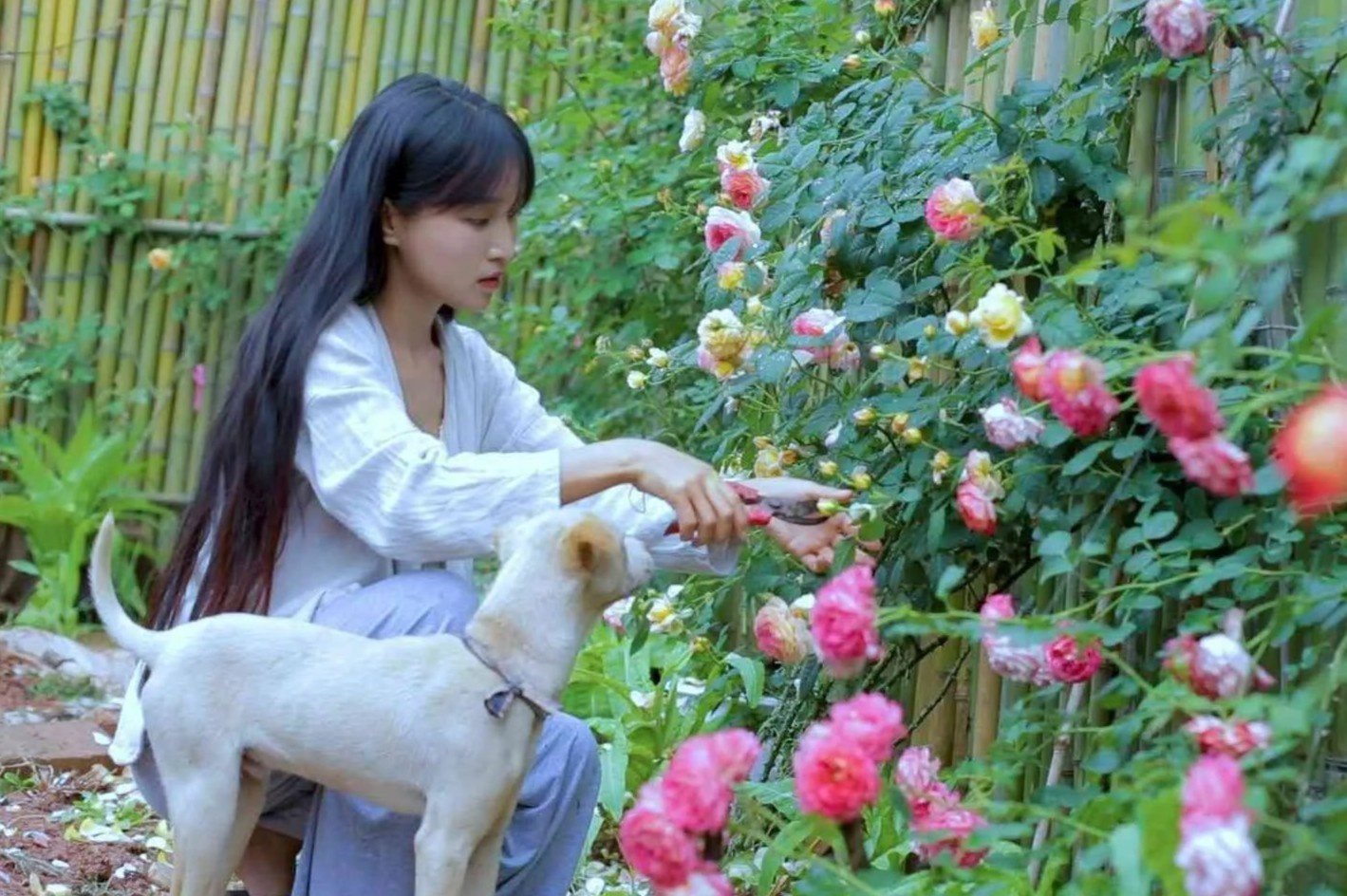The he uu tu cua Trung Quoc ve que hinh anh
