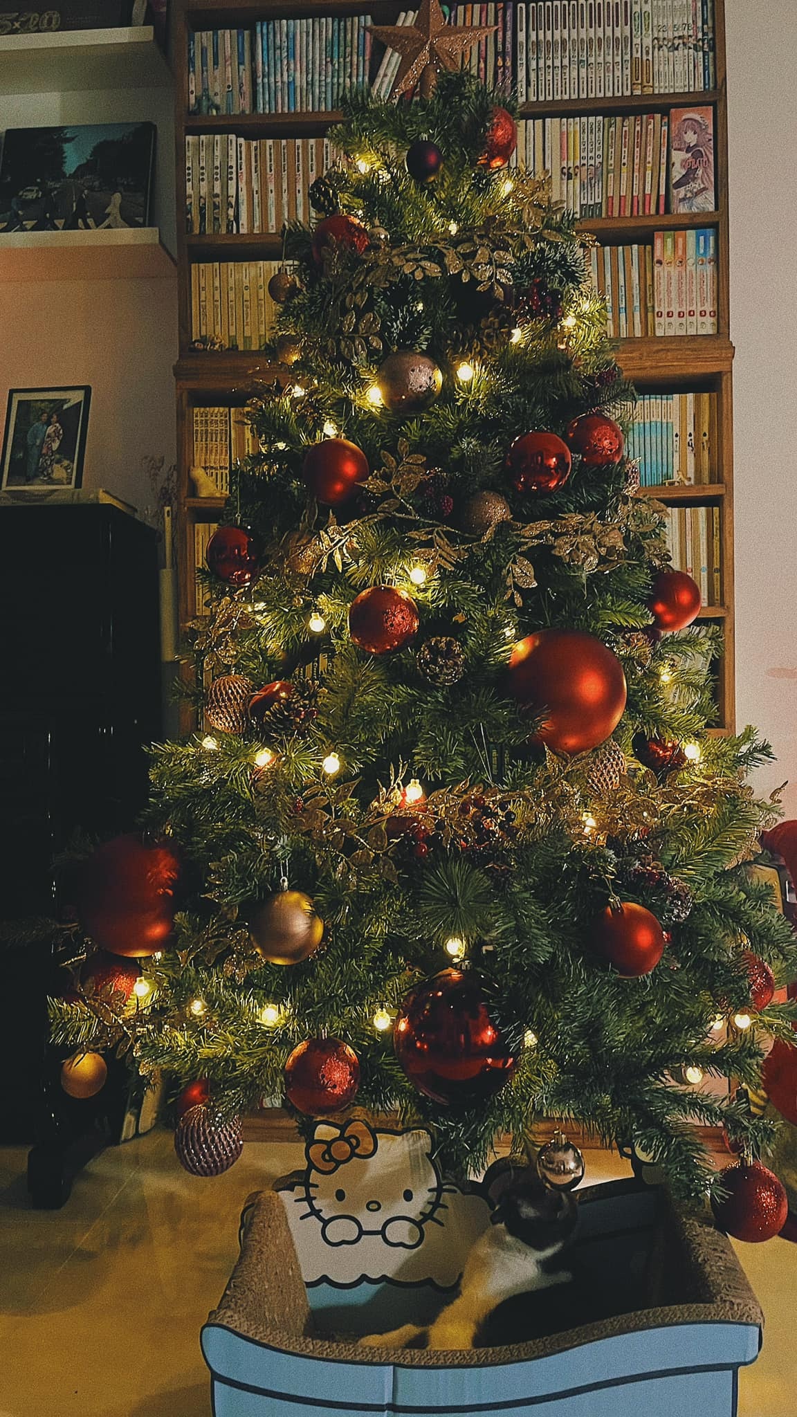 trang trí Giáng sinh ảnh 2 trang tri Giang sinh anh 2