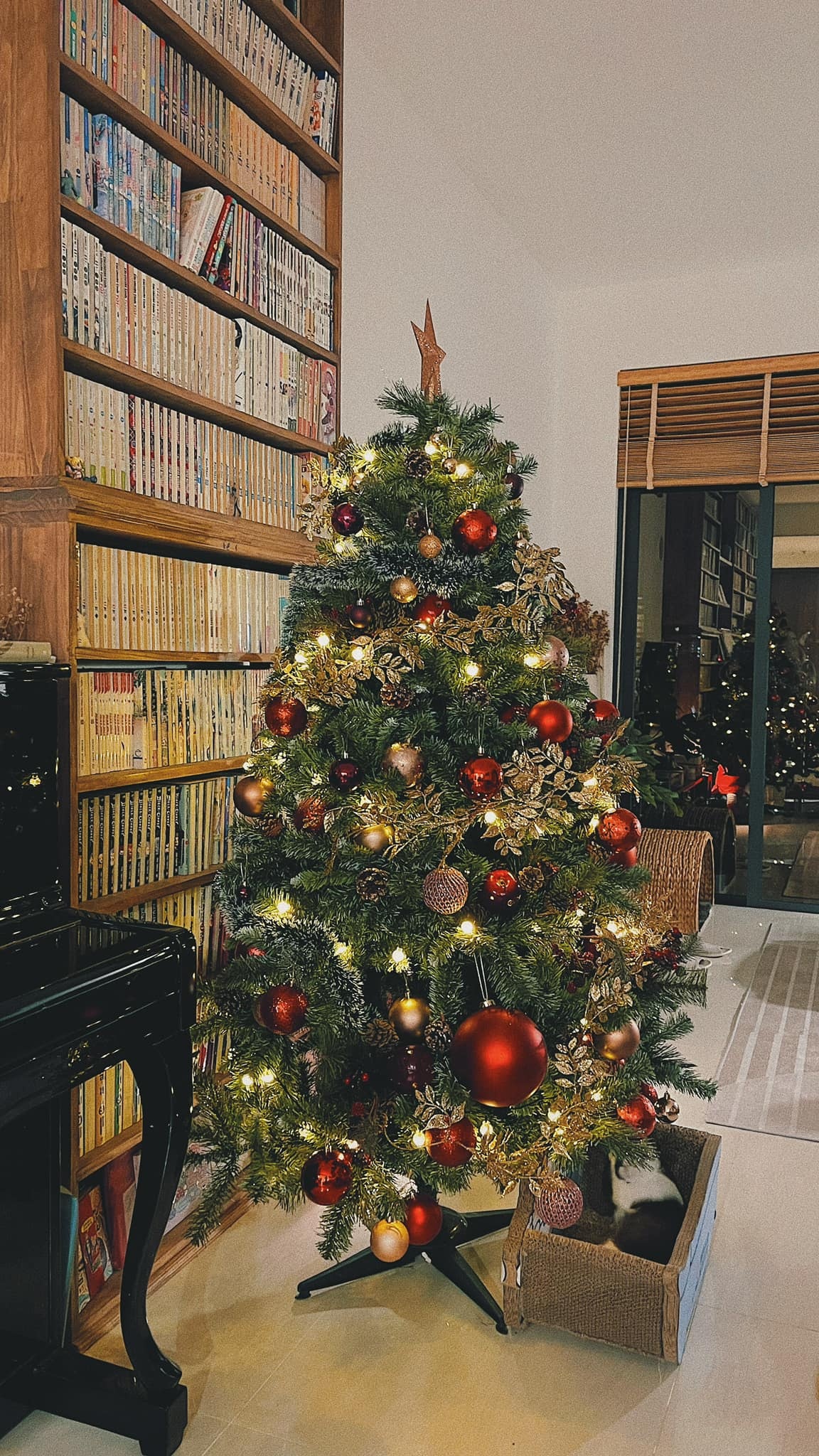 trang trí Giáng sinh ảnh 1 trang tri Giang sinh anh 1