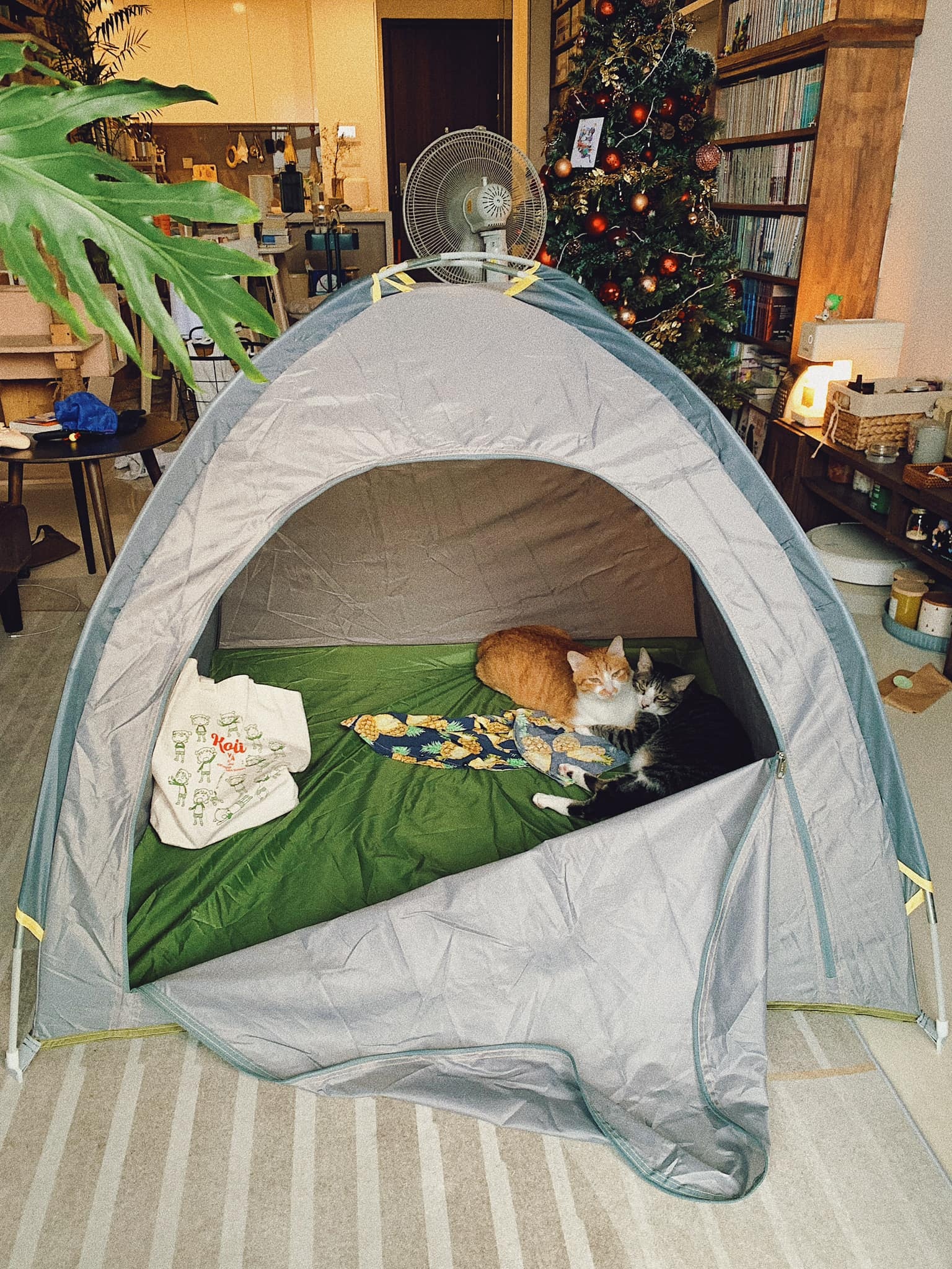 trang trí Giáng sinh ảnh 7 trang tri Giang sinh anh 7