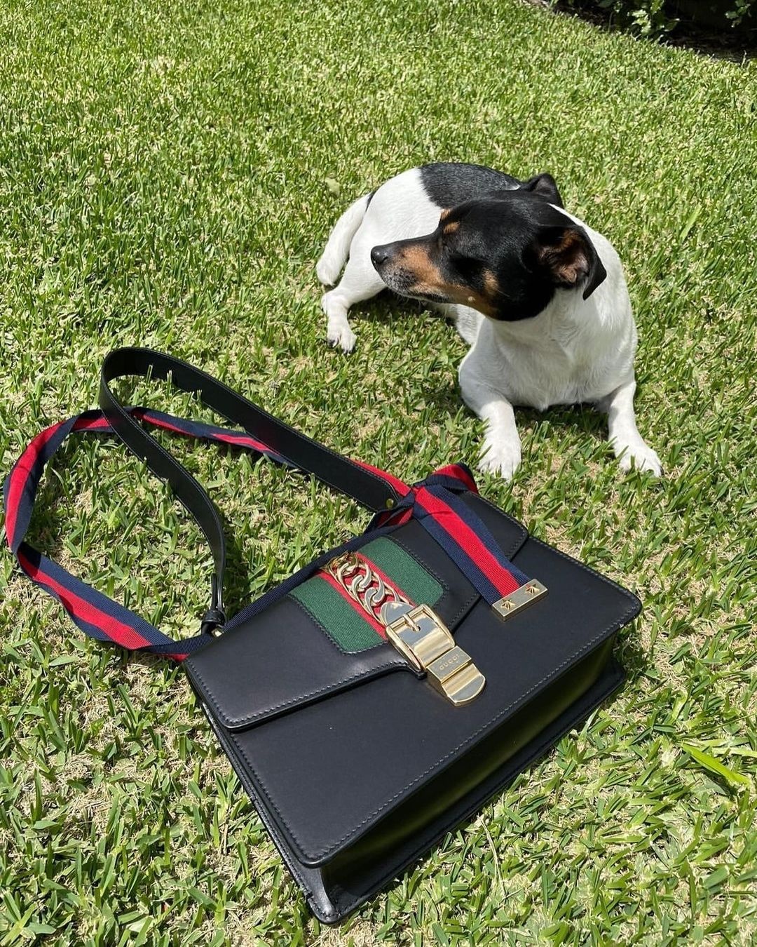 đồ hiệu vintage ảnh 3 do hieu vintage anh 3