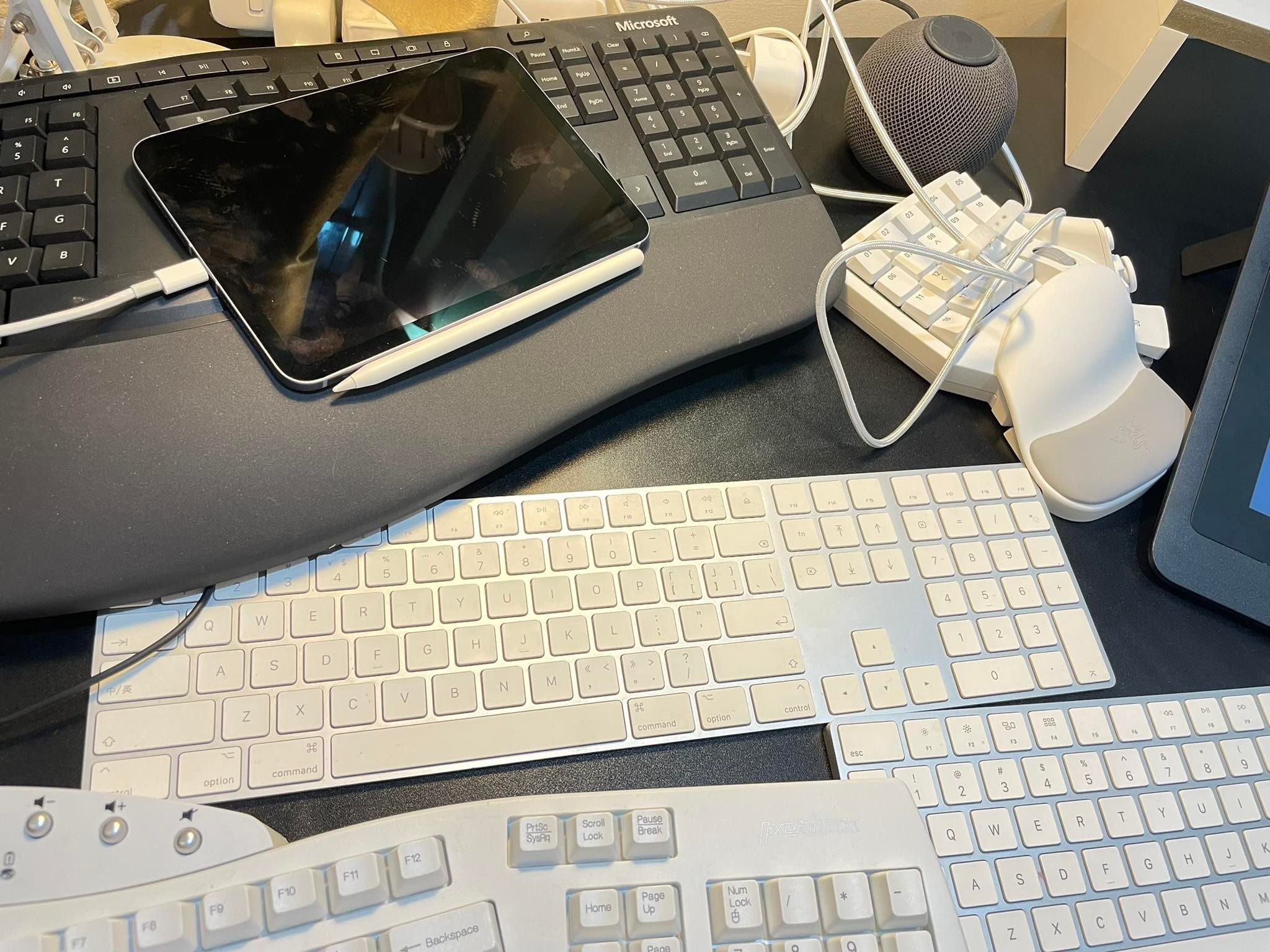 san sale 12/12 anh 6