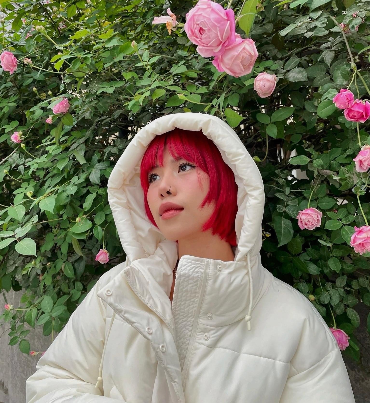 tiệc tất niên ảnh 2 tiec tat nien anh 2