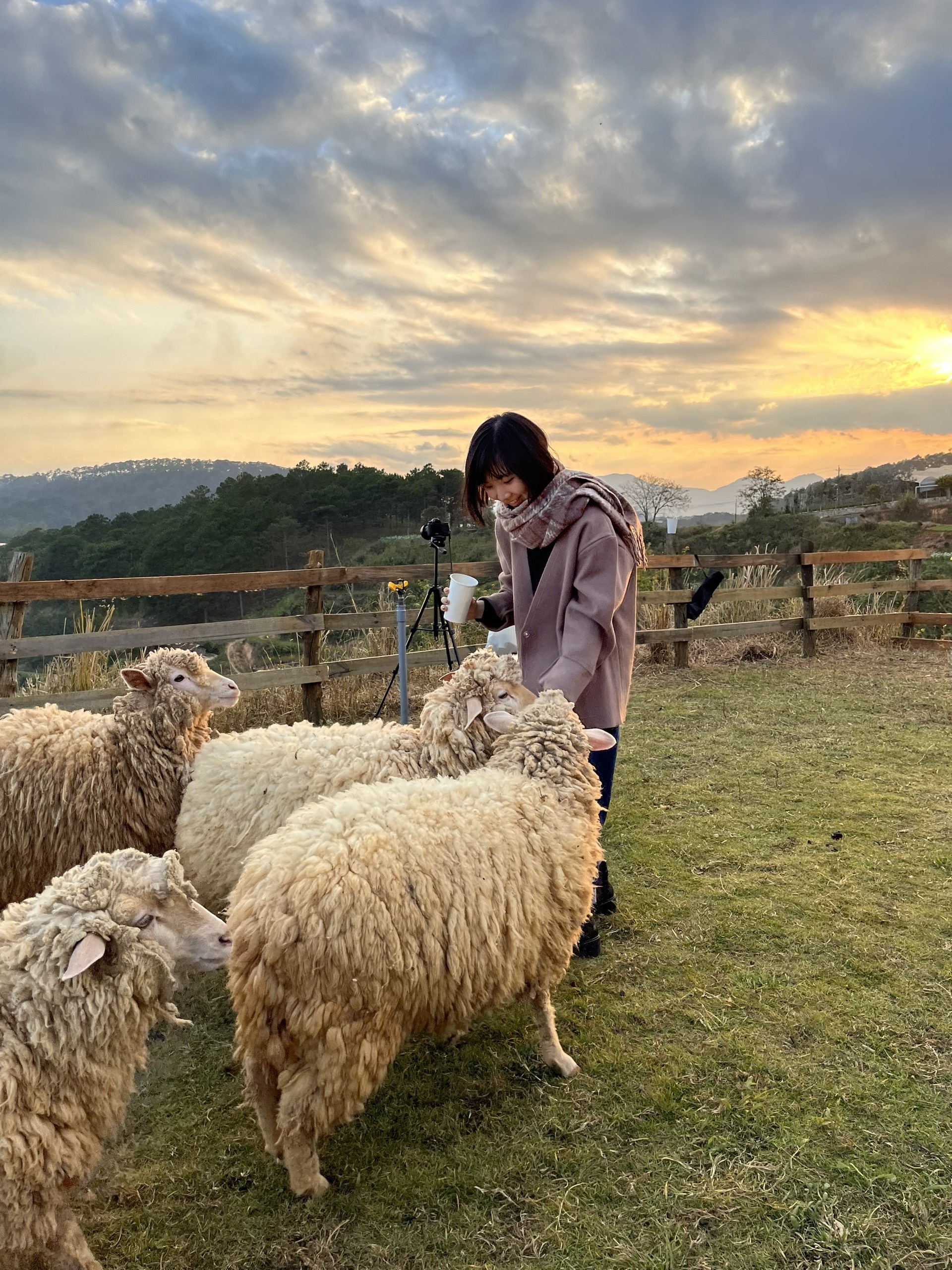 Di du lich truoc Tet anh 8