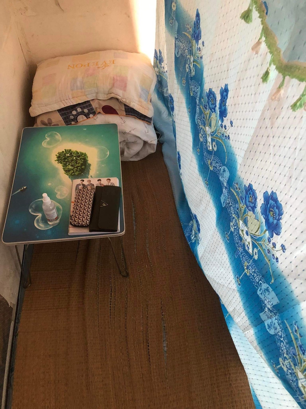 F1 cham soc F0 anh 1