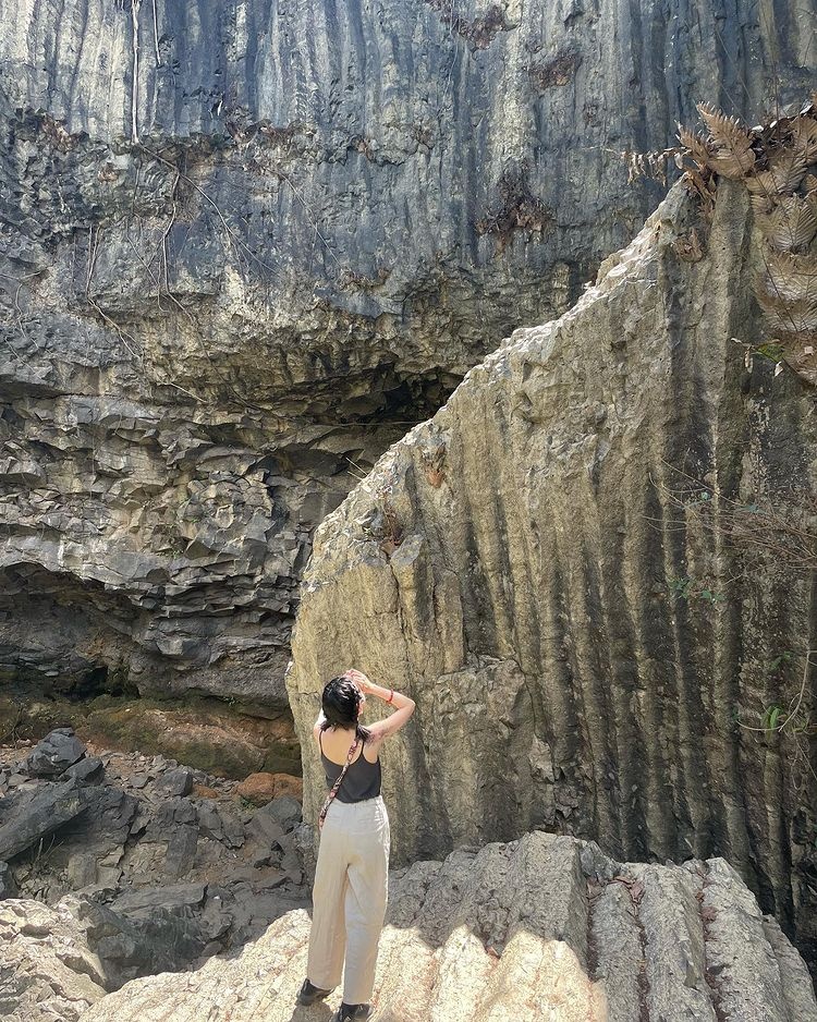 du lich tra thu dai dich anh 4