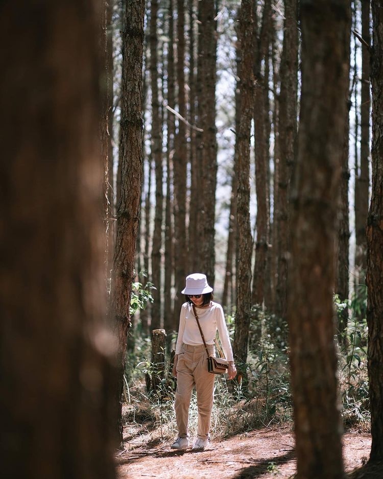 du lich tra thu dai dich anh 6