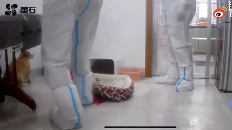 Cho bi danh chet anh 2