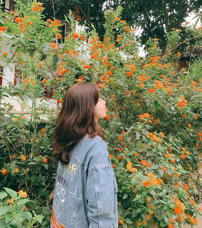 ap luc bao hieu anh 1