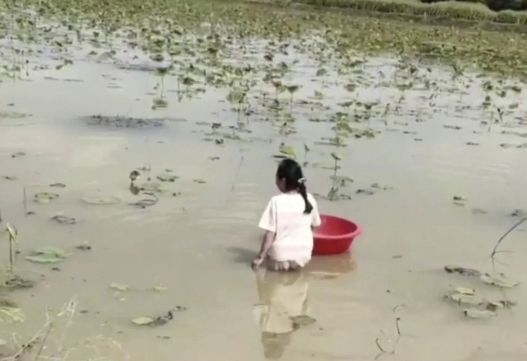 Cô gái bị mẹ kiểm tra nồng độ cồn ảnh 2 Co gai bi me kiem tra nong do con anh 2