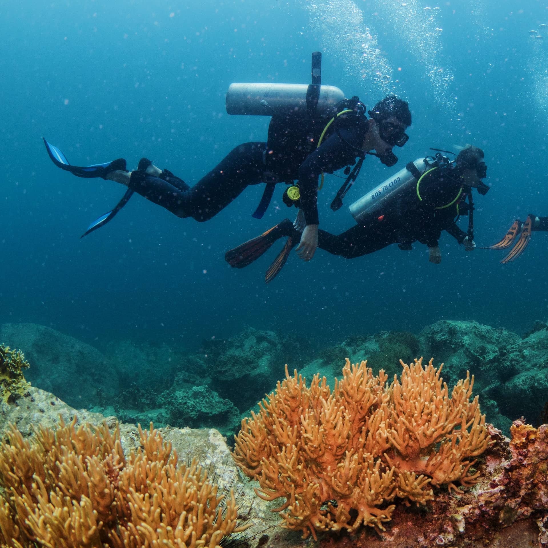 mệt mỏi du lịch hè ảnh 2 met moi du lich he anh 2