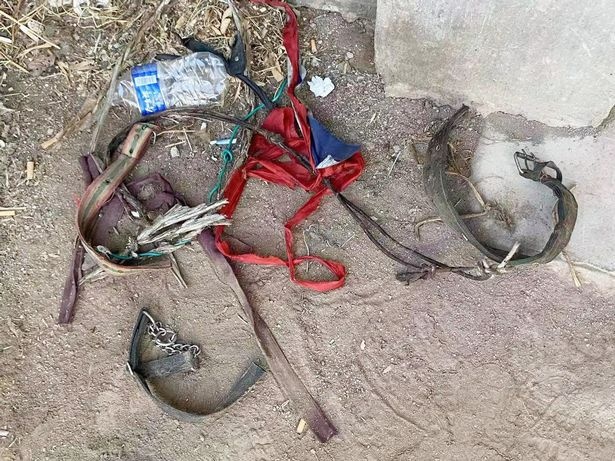 cuu ho cho khoi le hoi thit cho anh 2