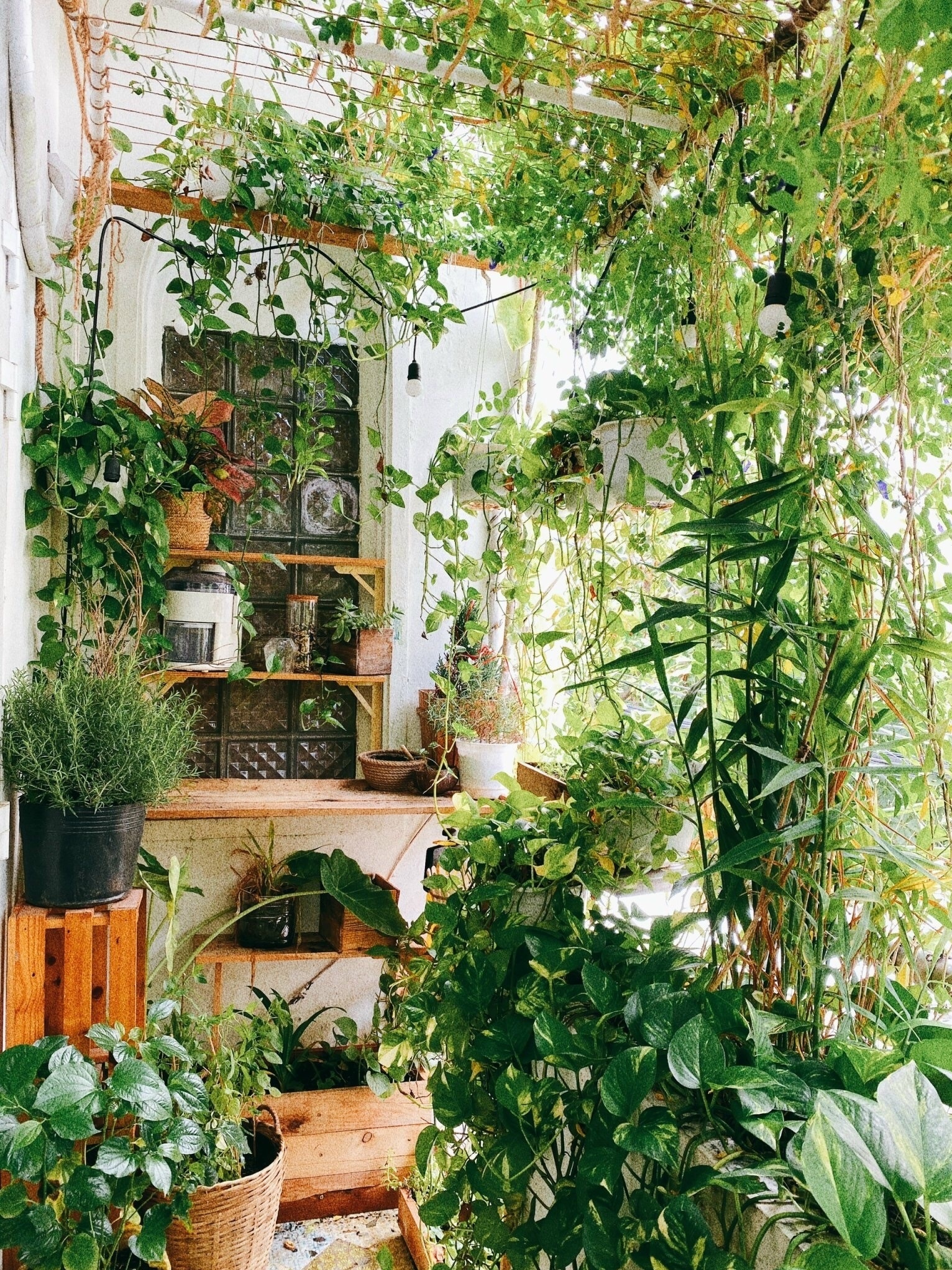 người trẻ trang trí nhà thuê ảnh 2 nguoi tre trang tri nha thue anh 2