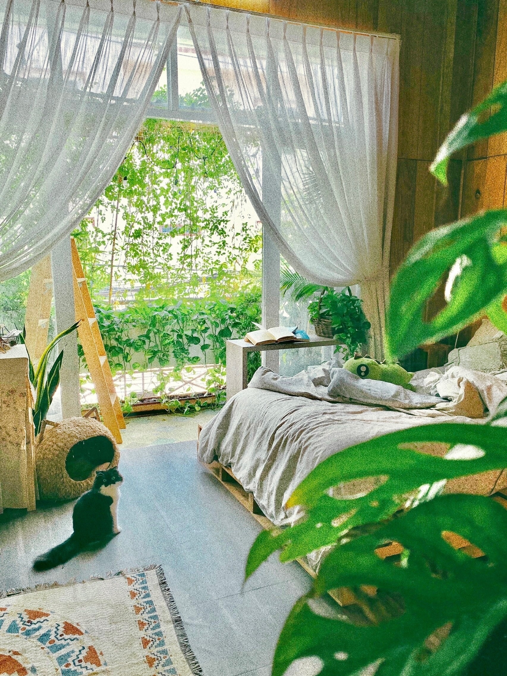 người trẻ trang trí nhà thuê ảnh 3 nguoi tre trang tri nha thue anh 3