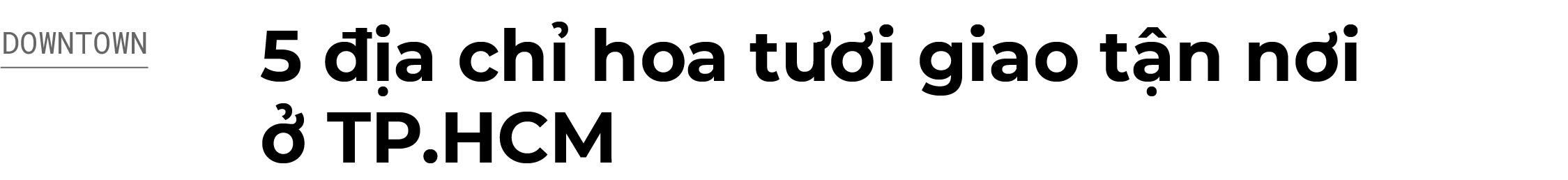 hoa tươi TPHCM ảnh 1 hoa tuoi TPHCM anh 1