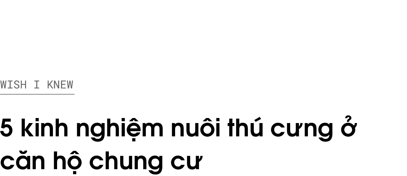 nuoi thu cung o chung cu anh 1