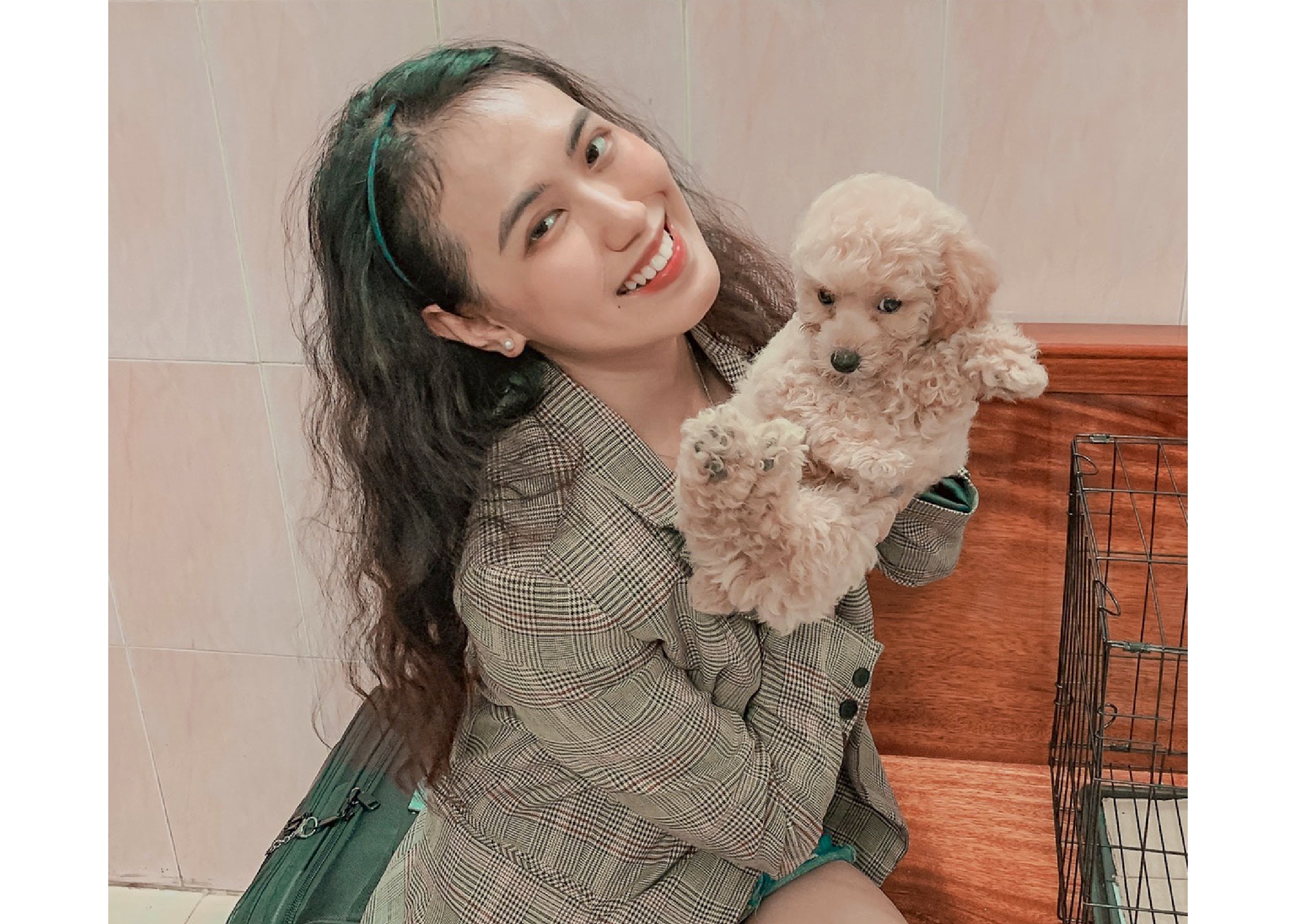 kinh nghiệm nuôi poodle ảnh 2 kinh nghiem nuoi poodle anh 2