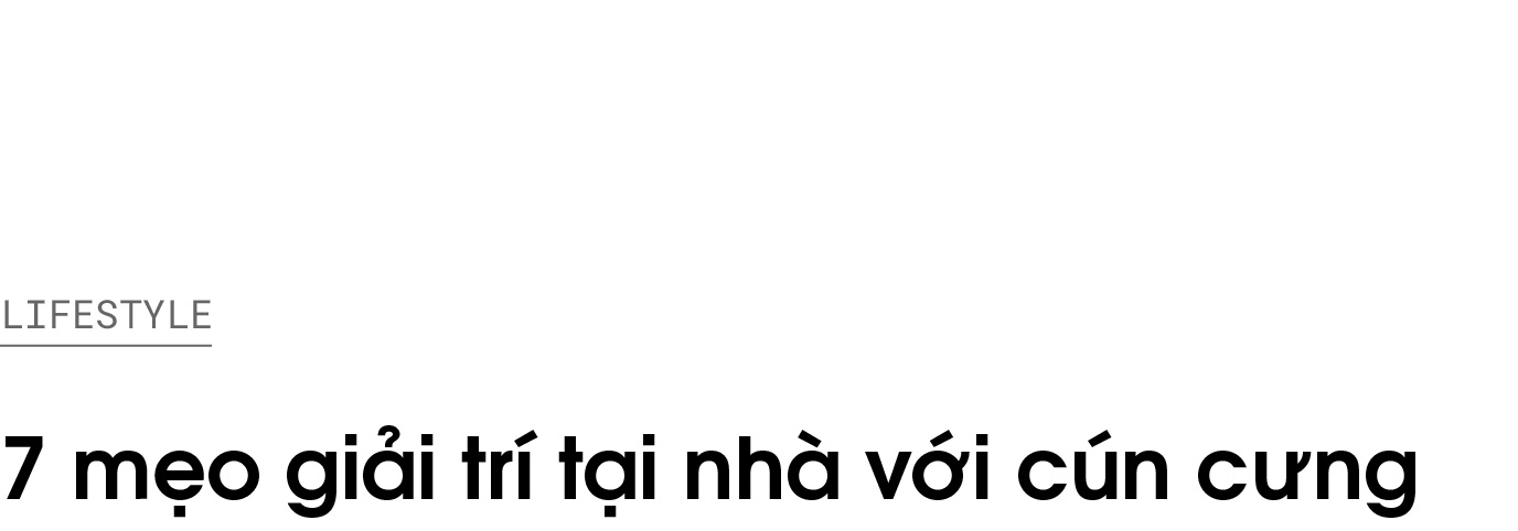 giải trí tại nhà với cún cưng ảnh 1 giai tri tai nha voi cun cung anh 1