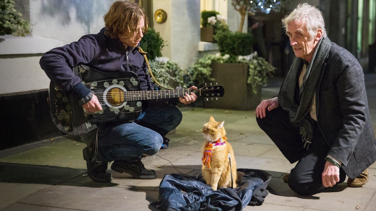 phim danh cho hoi yeu meo anh 6