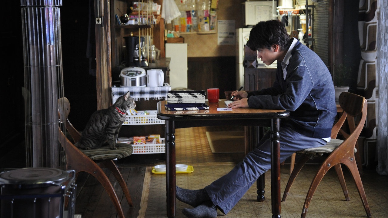 phim danh cho hoi yeu meo anh 7