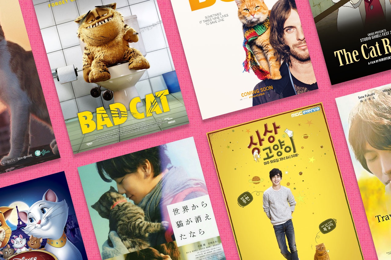 10 bo phim danh cho hoi yeu meo hinh anh