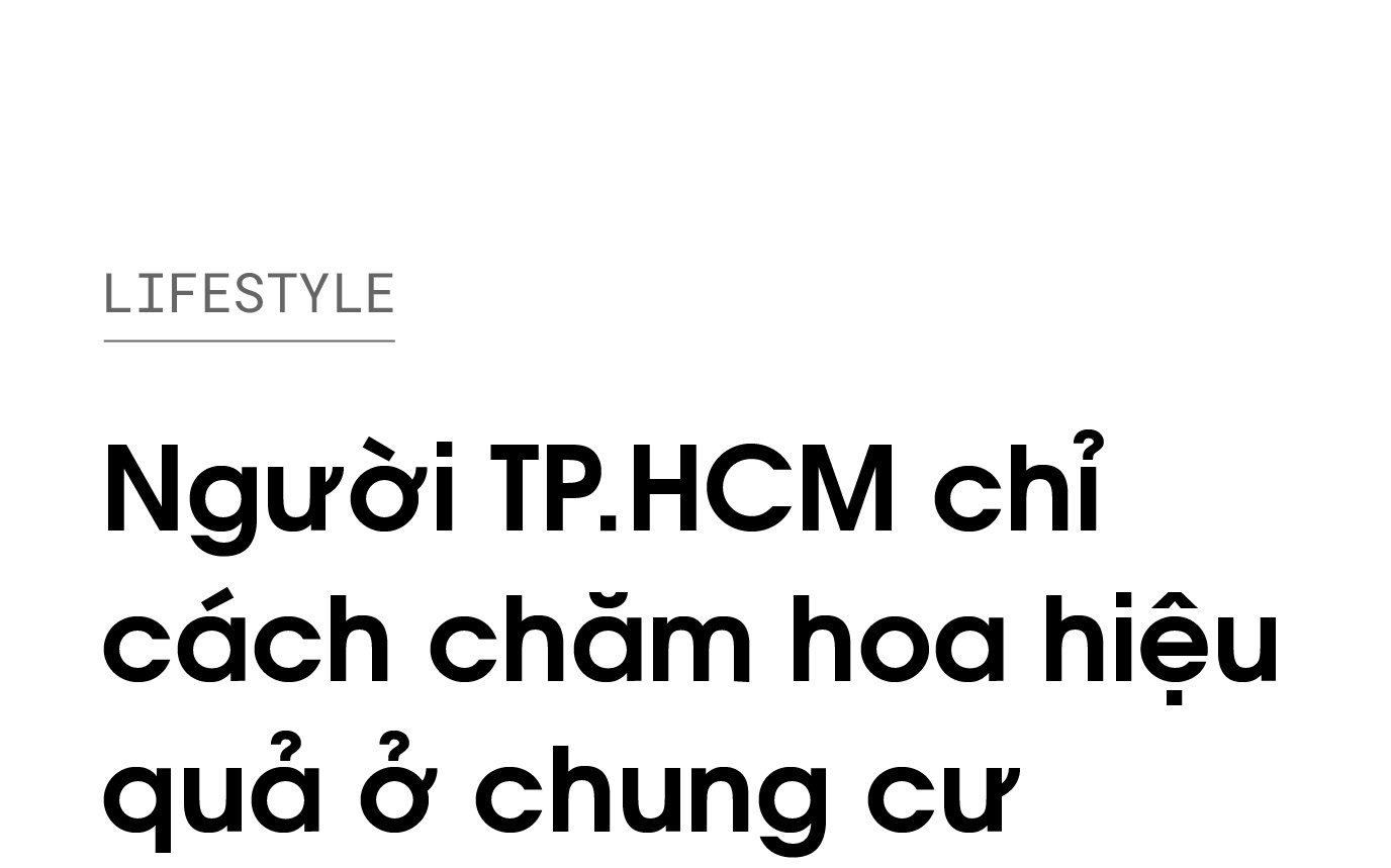 bí quyết trồng hoa ảnh 1 bi quyet trong hoa anh 1