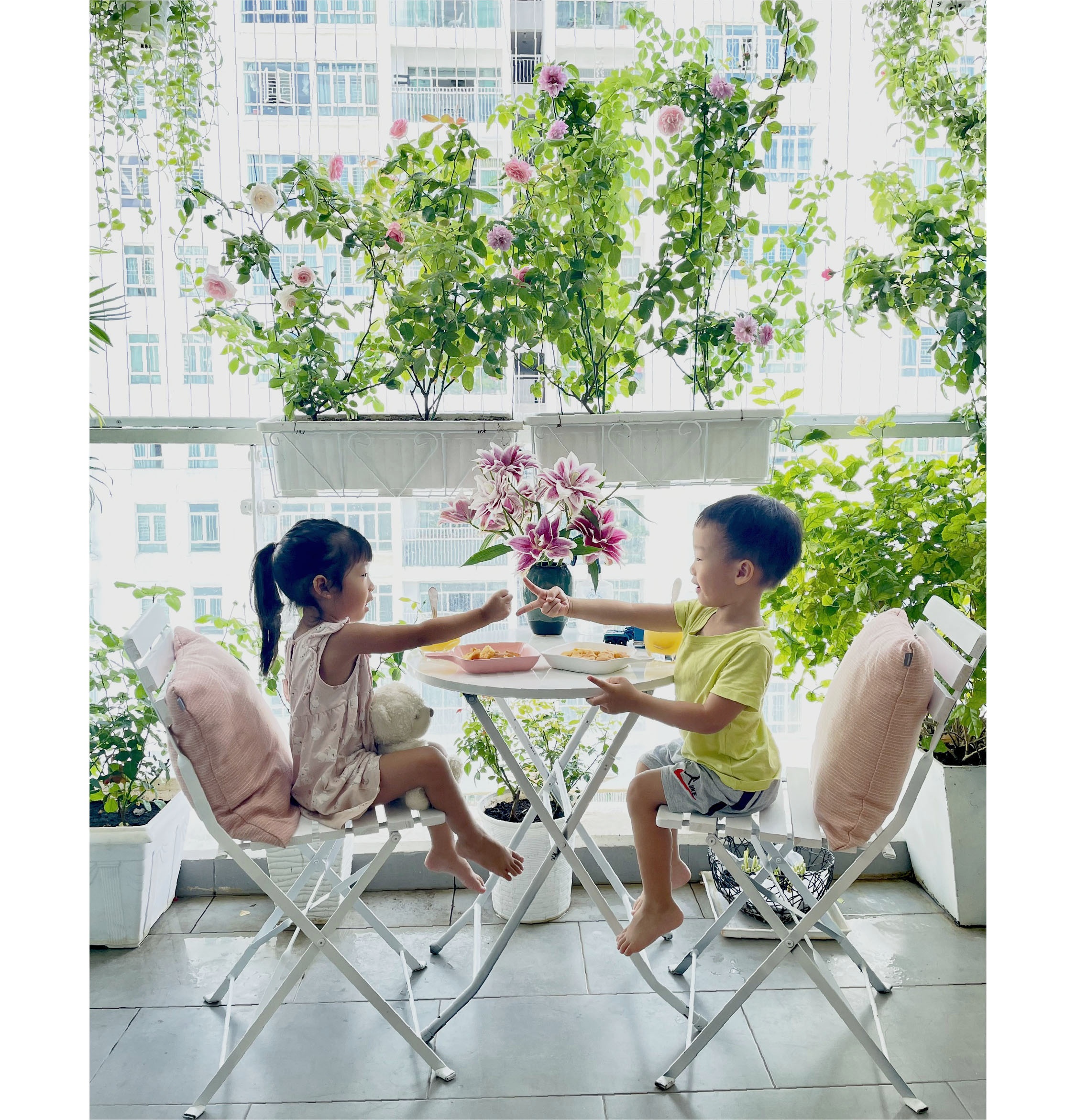 bí quyết trồng hoa ảnh 3 bi quyet trong hoa anh 3