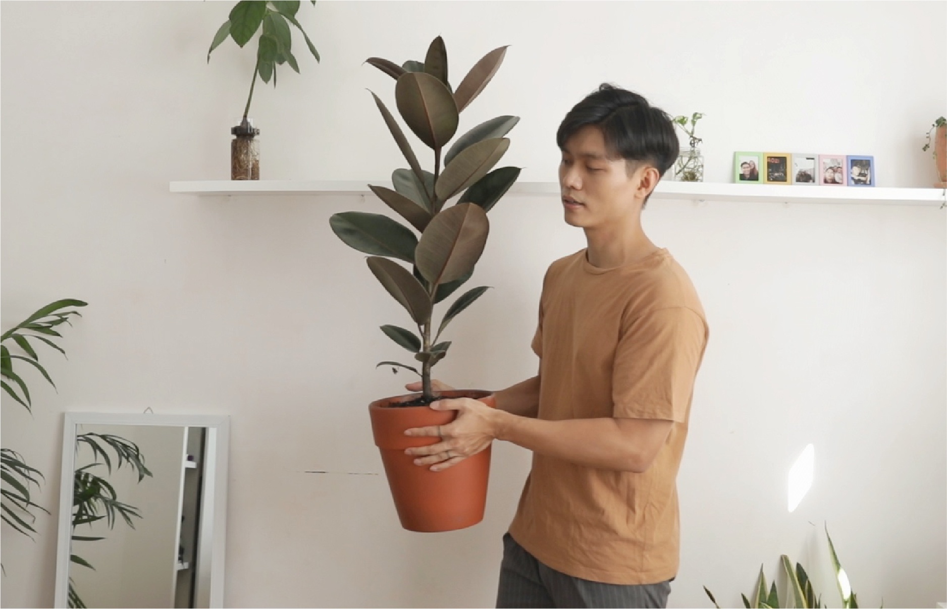 trồng cây ban công ảnh 3 trong cay ban cong anh 3