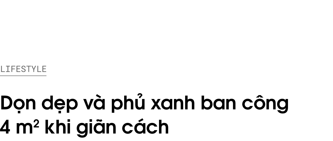 trồng cây ban công ảnh 1 trong cay ban cong anh 1