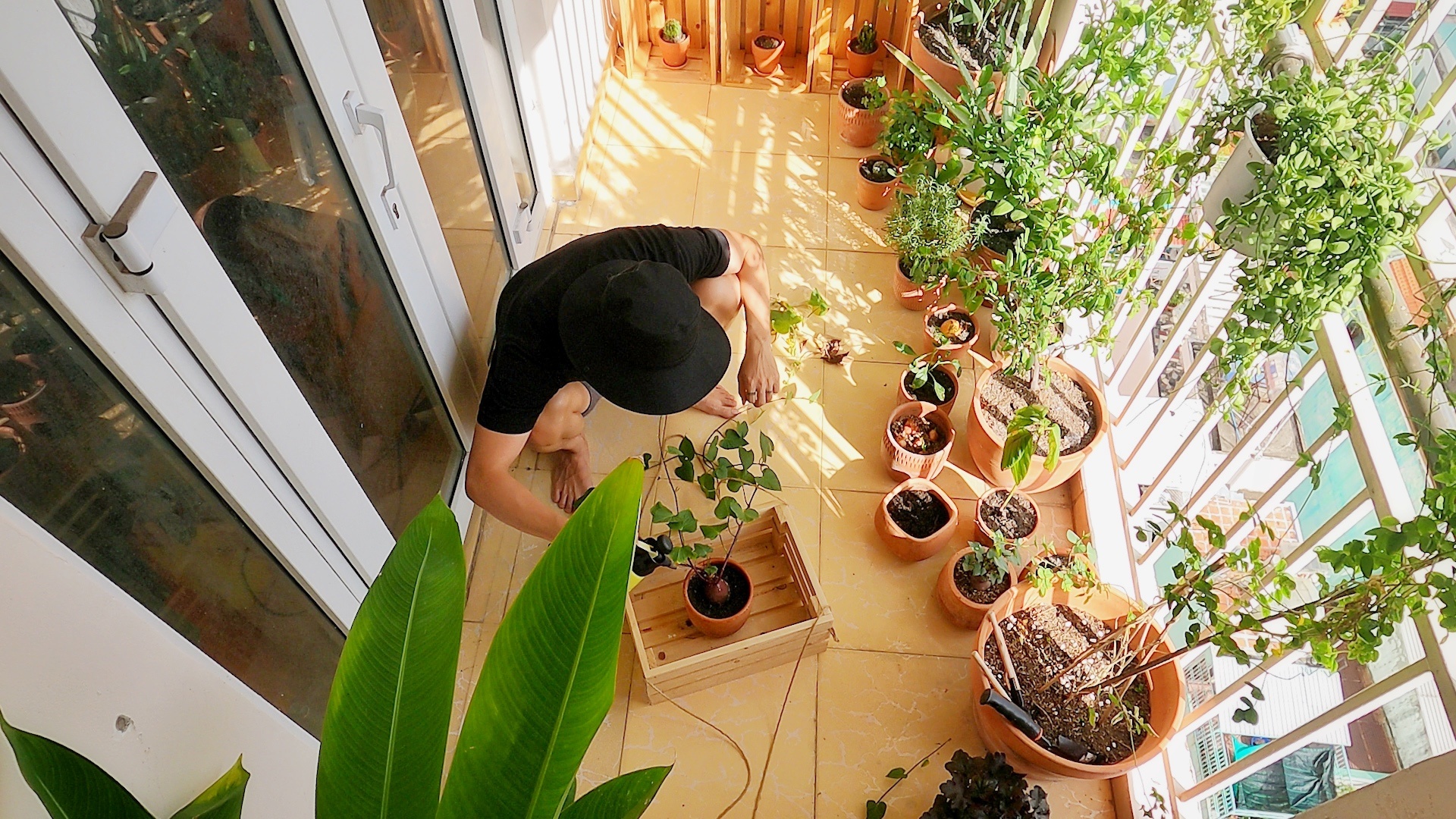 Don dep va phu xanh ban cong 4 m2 khi gian cach hinh anh