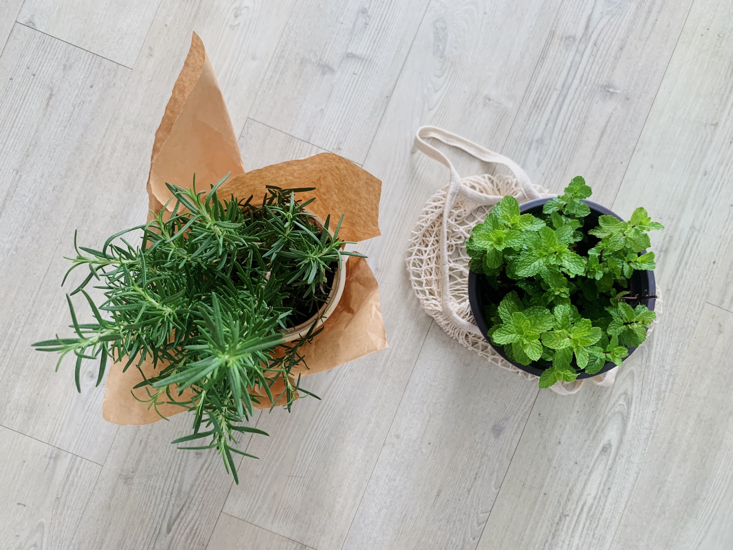 tphcm nới lỏng giãn cách ảnh 10 tphcm noi long gian cach anh 10