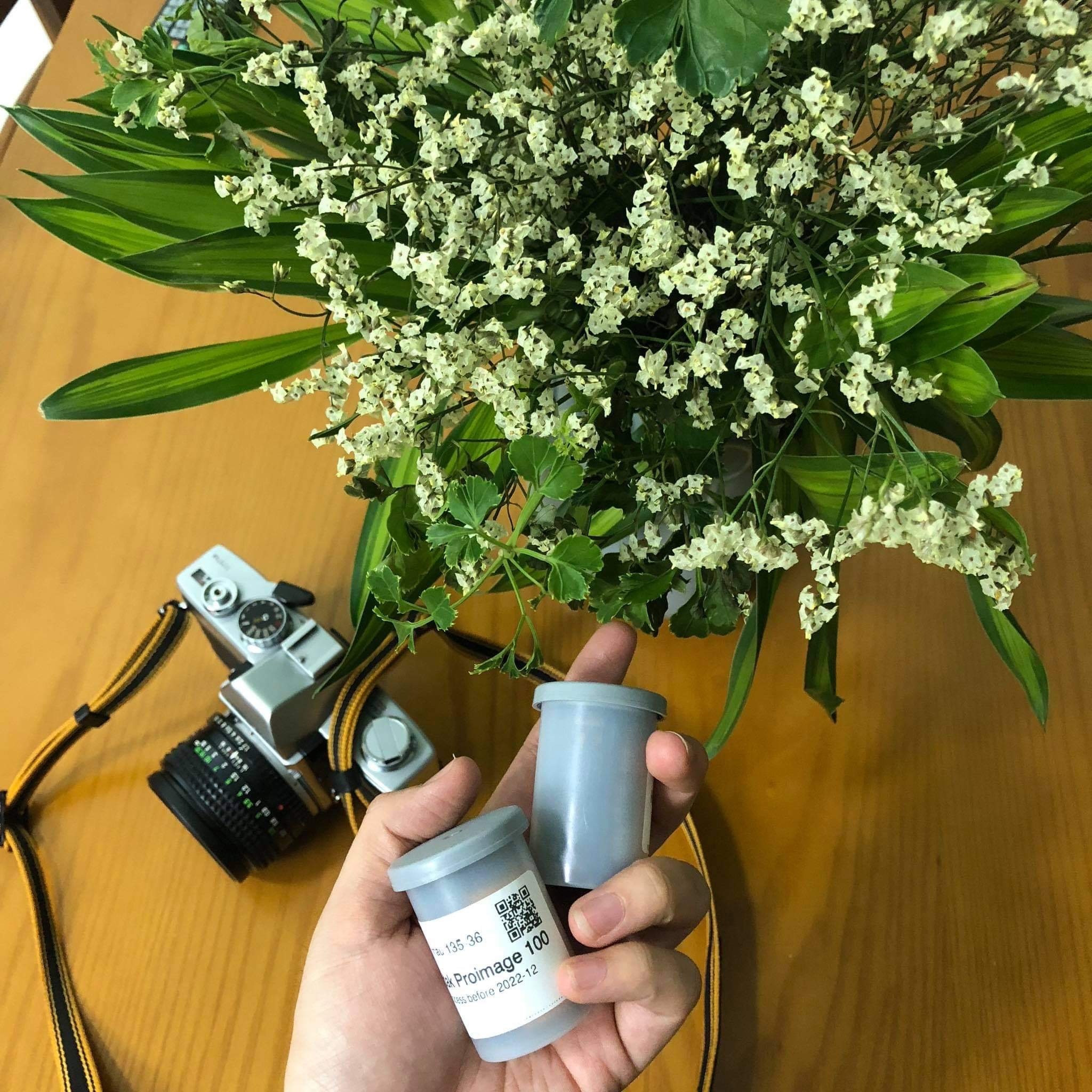 retail therapy la gi anh 2