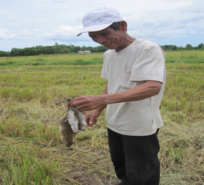 Cuoc chien chong chuot “di cu” o Quang Binh hinh anh