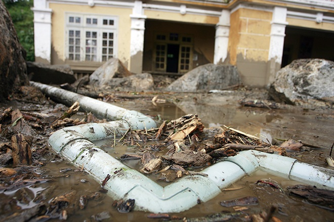 Tan hoang sau tran lu cuop 11 mang nguoi hinh anh