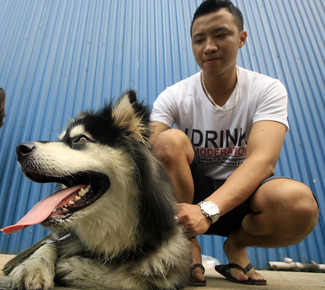 Gan 500 chu cho tranh tai 'sac dep' hinh anh