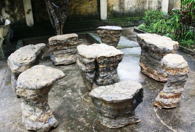 Ngam bo ban ghe ‘doc la’ hang nghin nam tuoi hinh anh