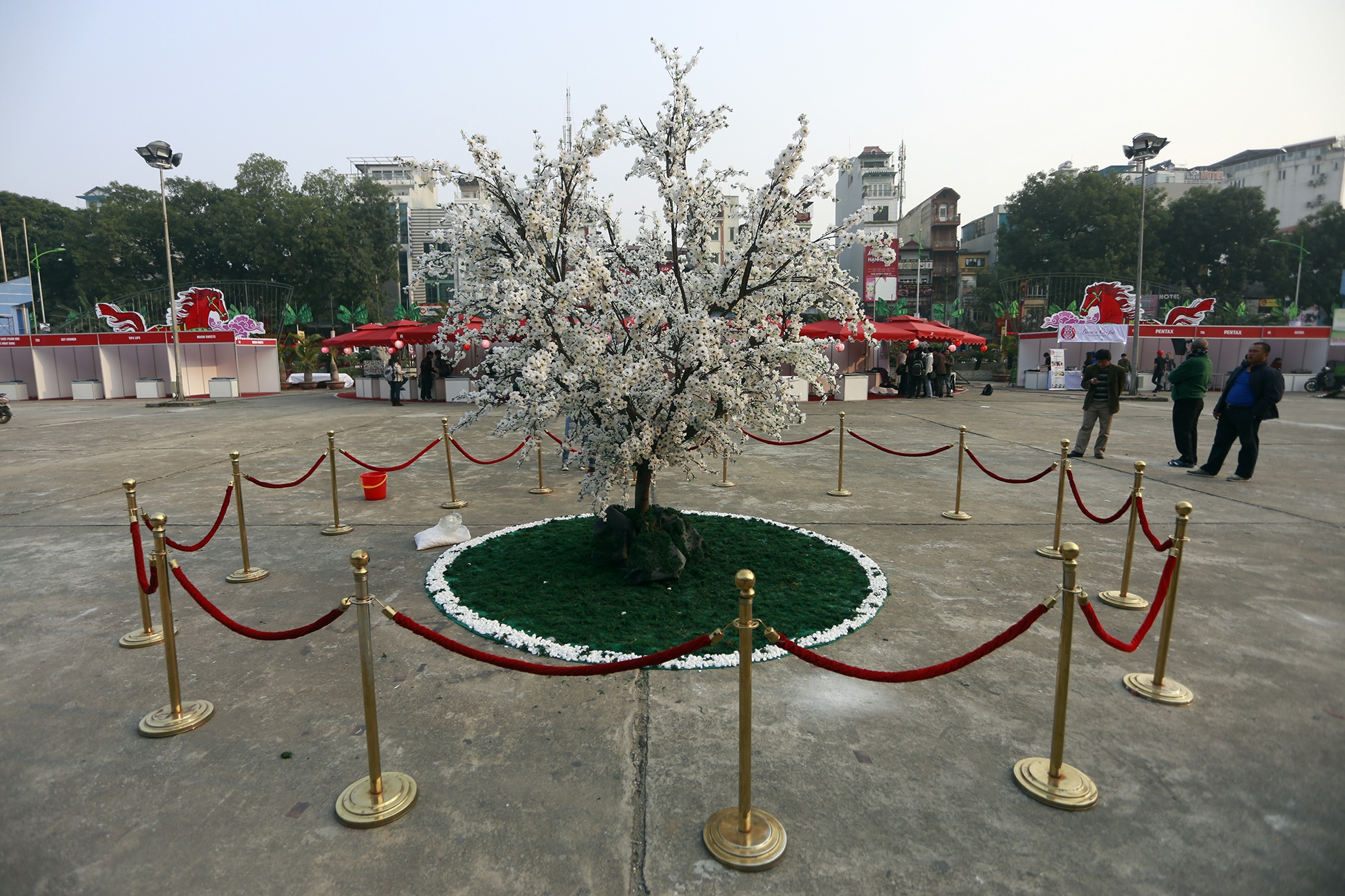 San sang don Le hoi van hoa Nhat Ban tai Ha Noi hinh anh