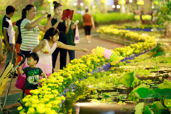 Dan Sai Gon do ve duong hoa dai 700m o Phu My Hung hinh anh