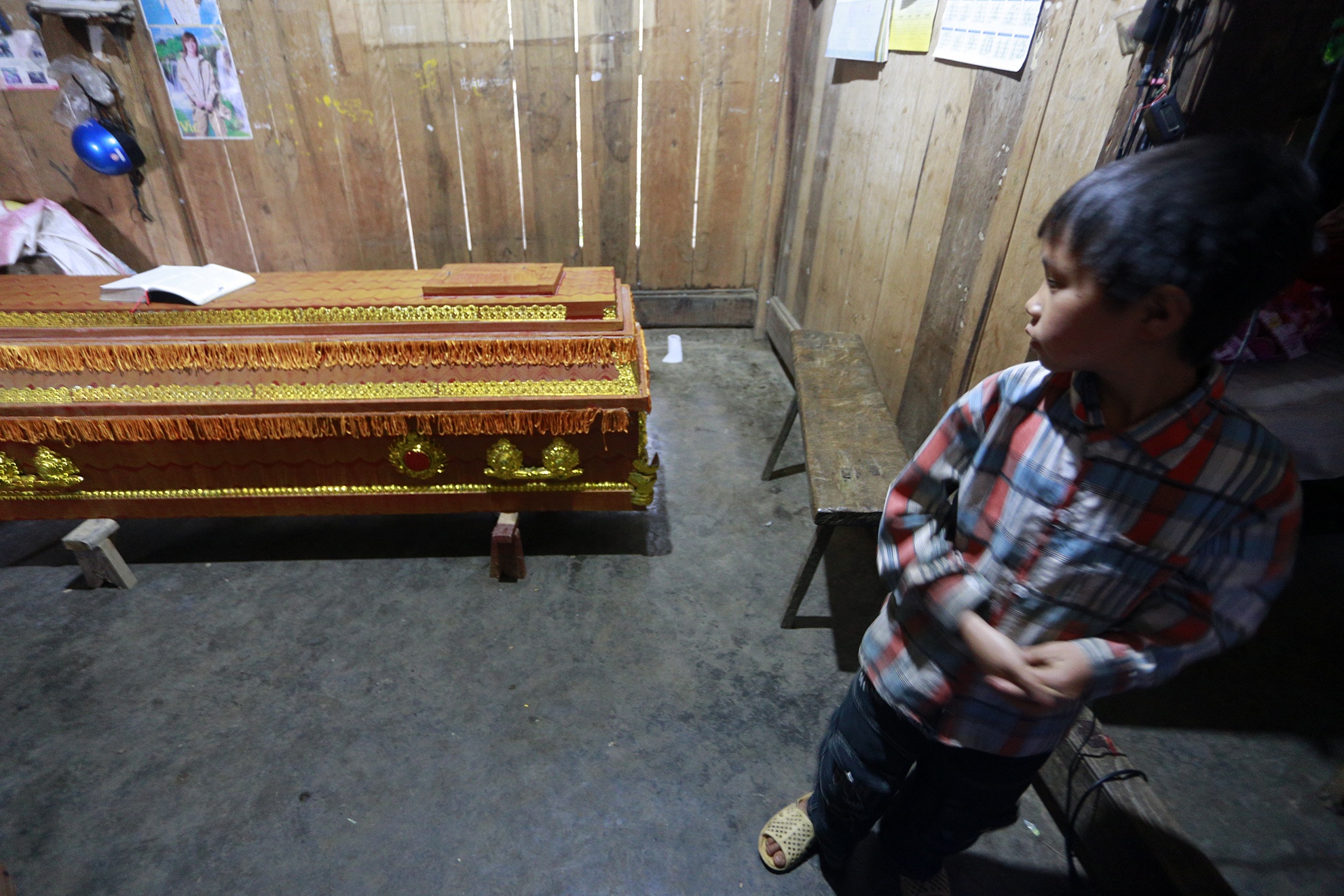 Noi dau tang trung tang quanh cay cau sap o Lai Chau hinh anh