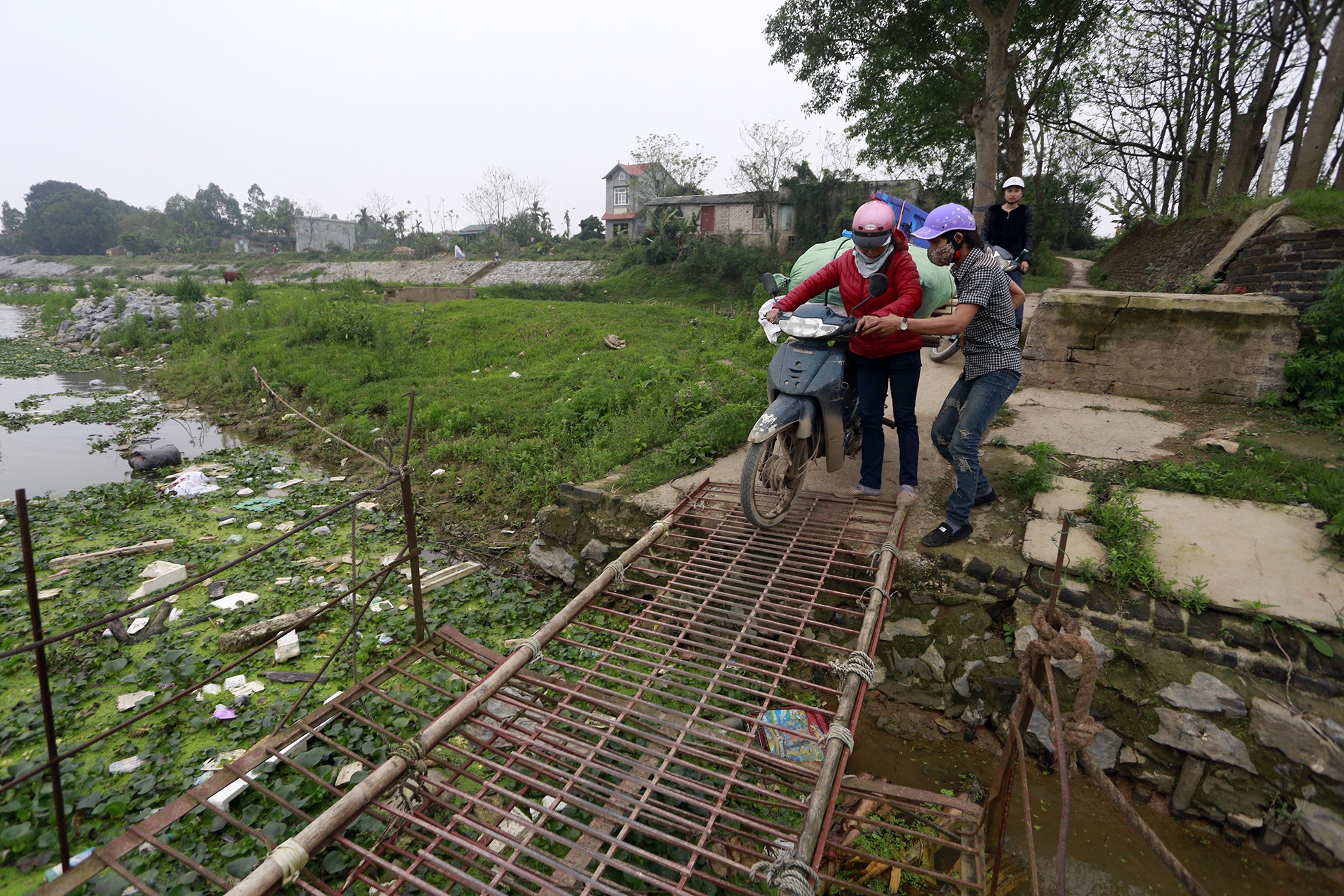 Nhung cay cau doa sap o thu do hinh anh