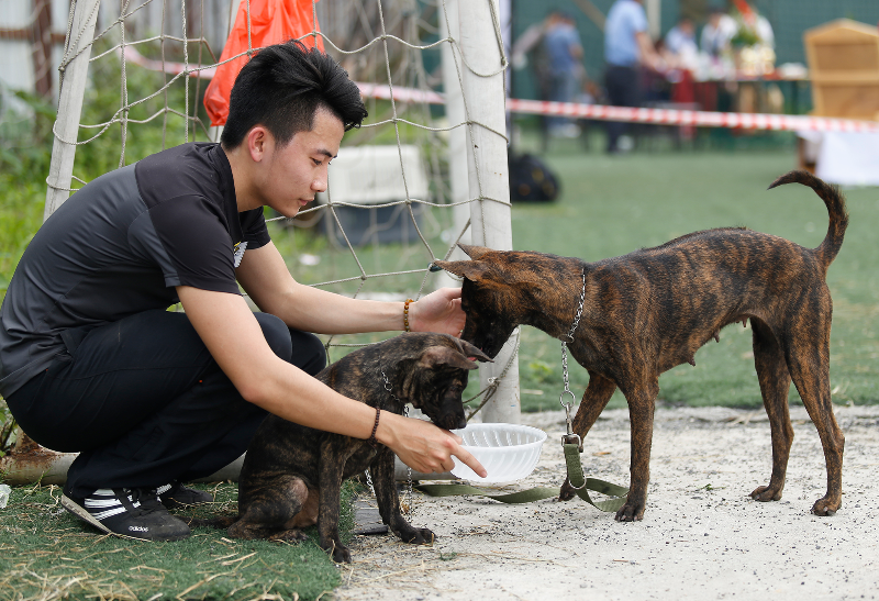 Cho H'Mong, Phu Quoc thi tai o Ha Noi hinh anh
