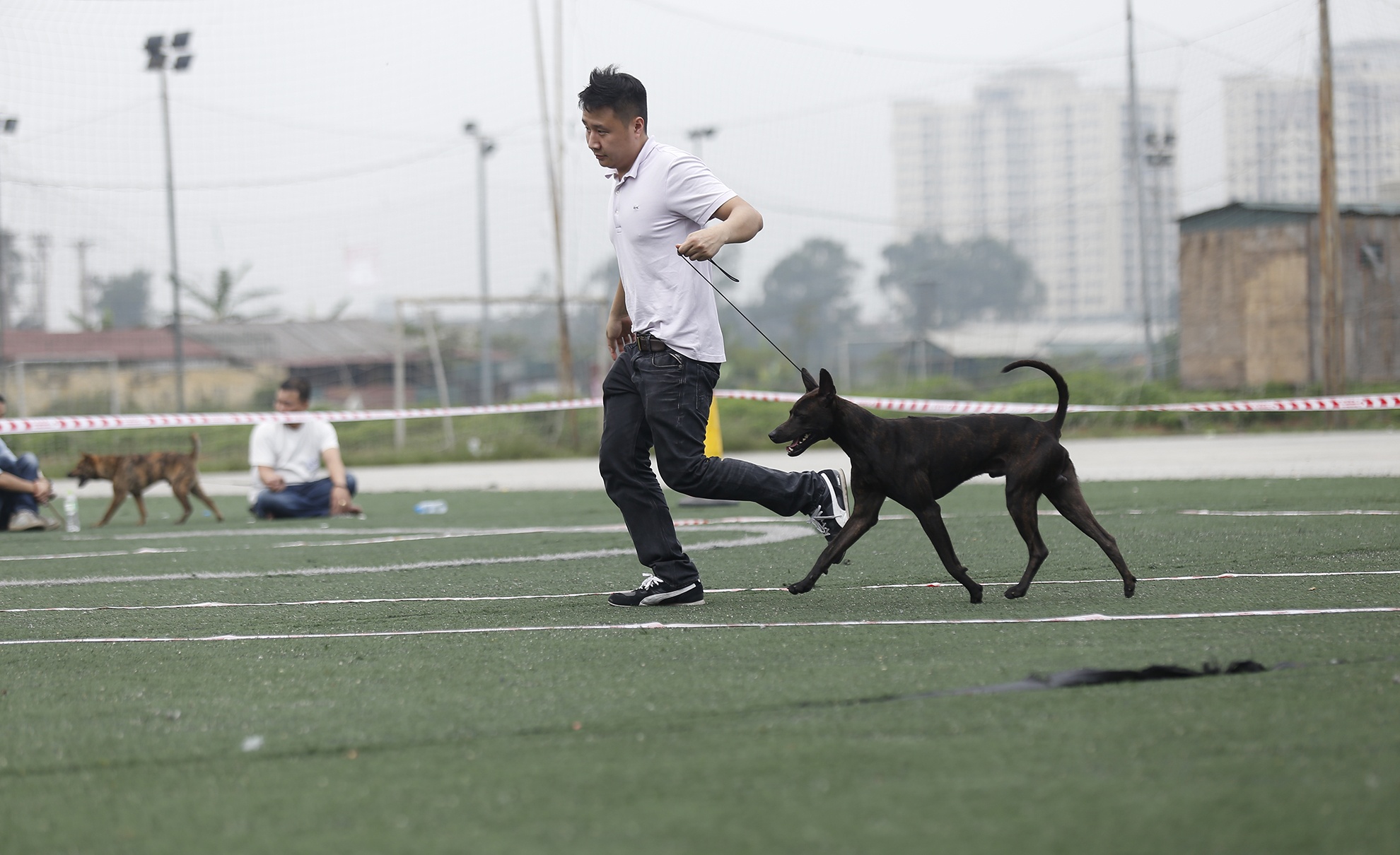 Các cuộc thi được tổ chức dựa trên nền tảng về quy định và chuẩn mực của Liên đoàn nuôi chó giống thế giới (FCI), nhằm đánh giá và tôn vinh những con chó đẹp, chuẩn mực nhất theo những bản tiêu chuẩn riêng cho mỗi giống, theo sự công nhận rộng rãi trên toàn thế giới. 